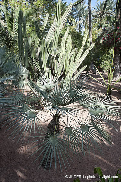 Marrakech